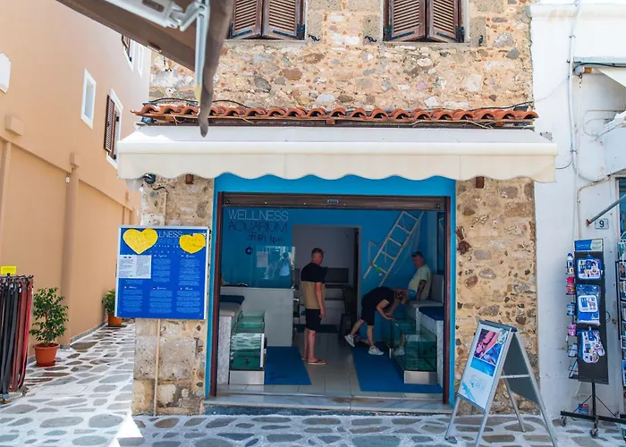 Apellou House Apartmán *