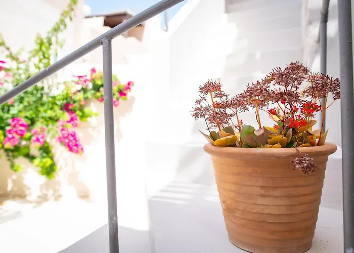 Apellou House Apartman *